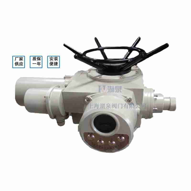 電動閘閥DZW30-18W執(zhí)行器(廠家哪家好)