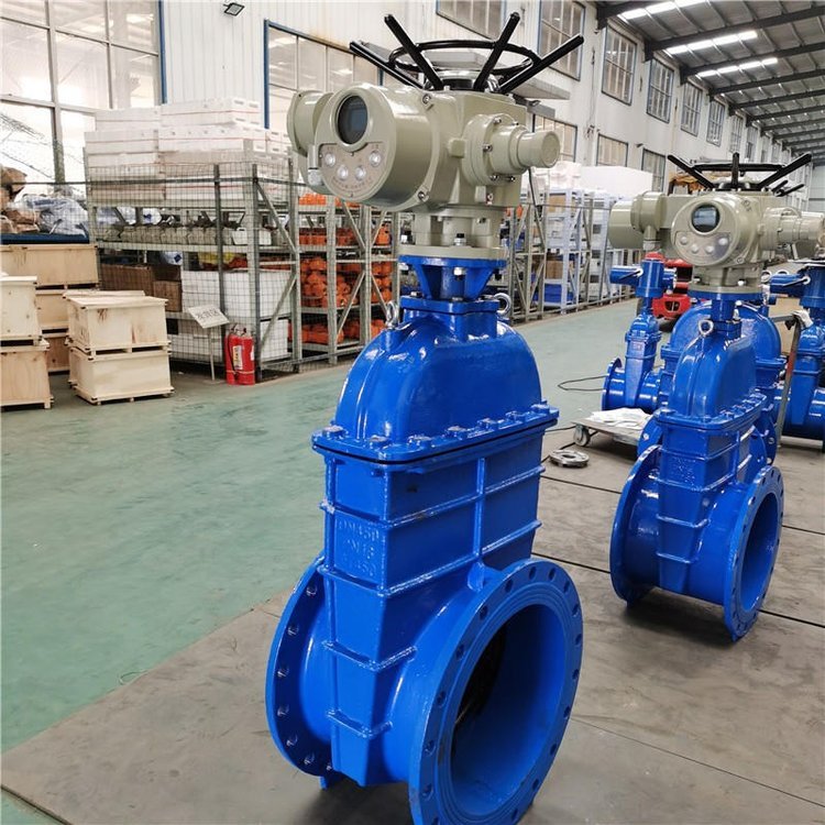 電動閘閥Z941h -64 DN500(石化行業(yè)、煉油廠、化工廠)